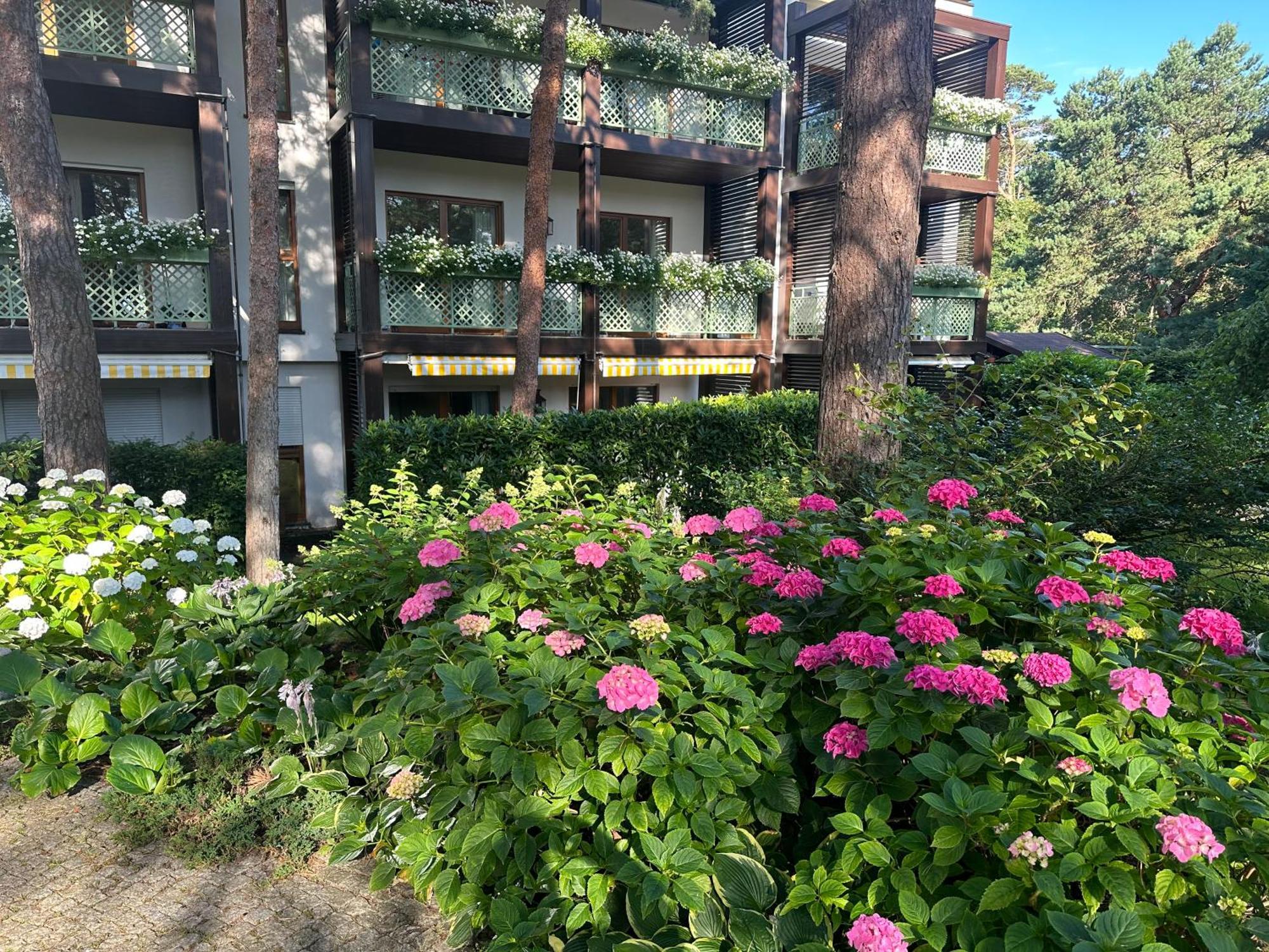 Apartament Bryza - Szczesliwa Dziewiatka Jurata Exterior foto